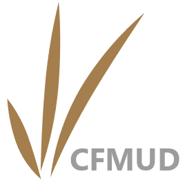 canyon falls logo